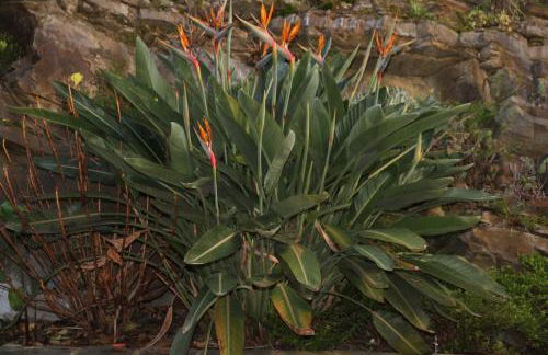 Turismo Guadiana - Casas - Foto 15