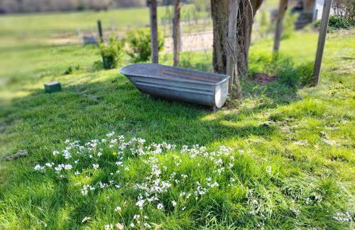les hortensias La Souris Des Champs - Foto 19