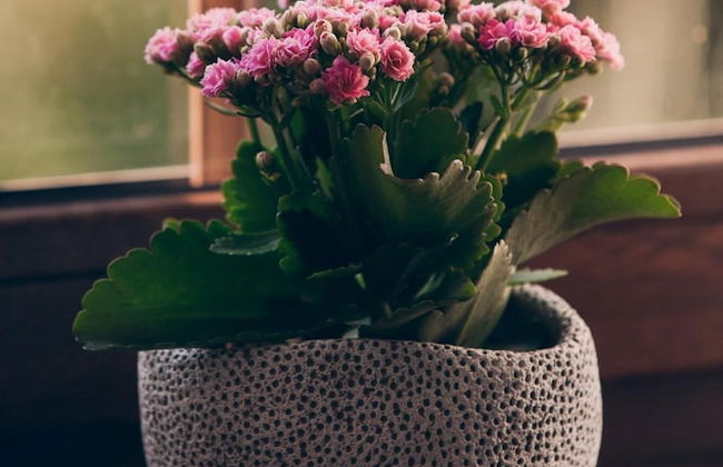 Lazne Libverda Llp015 - Photo 1