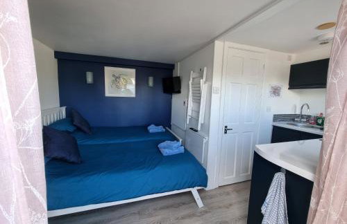 Lovely private studio room with own kitchen and bathroom. Set in the popular area of Shiphay in Torquay and only a short walk from Torbay Hospital - Foto 6