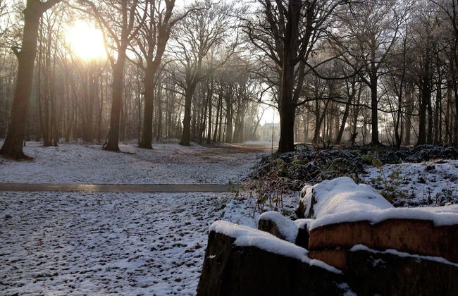 Peacefule Holiday Home for 2 People in Heiloo near Egmond - Photo 29