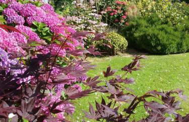 Gîte Gîtes de France® - Le Nid d'Hirondelles - Foto 25