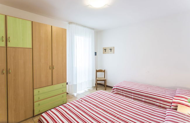 Calycanthus - Foto 7