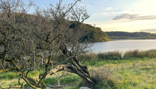 Reethus Koppelkiek - stilvolles Vintage-Haus mit Kamin & Spielhaus - Foto 5