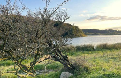 Landhaus Markerup - großzügig mit Kamin, Sauna & Spielhaus - Foto 50