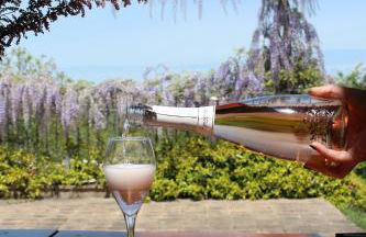 Agriturismo Terracruda - Foto 35