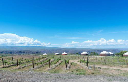 The Wine Box 11B at Cave B Ridge Wine Relax Enjoy - Foto 7