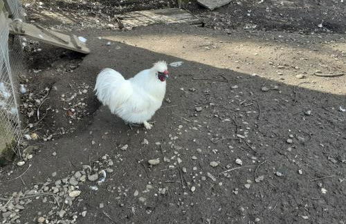 Ferienwohnung Kerstenhof - Foto 30