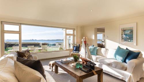 Snow Goose - Foto 1, Other