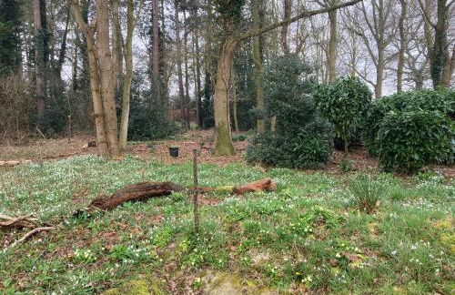 Woodland Retreat, Market Lane, Blundeston, Lowestoft - Foto 44