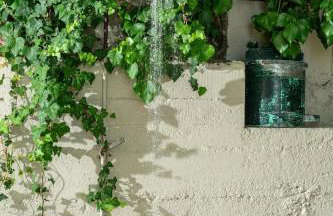 Célestine - Foto 15