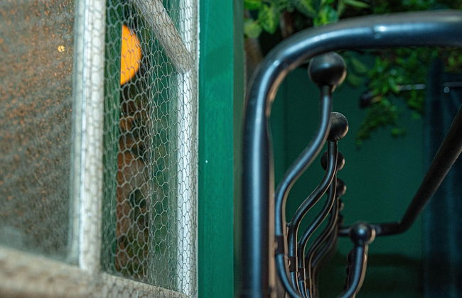 Apartamentos CV - Foto 14