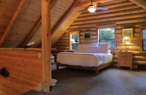 Eagles Nest - Natural Log Cabin with Guest House - Foto 23