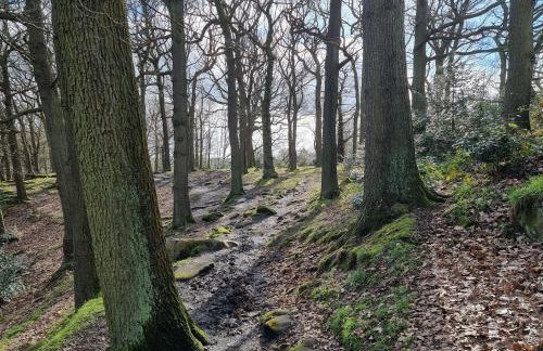 Curlew Cottage Eldwick peaceful location where you can watch the horses - Foto 15