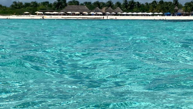 Scuba Diving in Cozumel - Foto 4