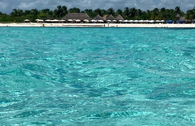 Scuba Diving in Cozumel - Foto 4