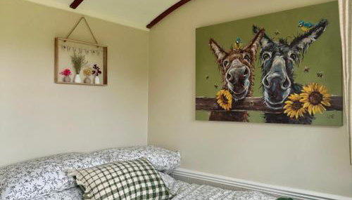 Harpers Huts - Alma - Foto 5