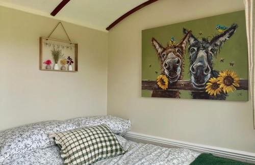 Harpers Huts - Alma - Foto 5