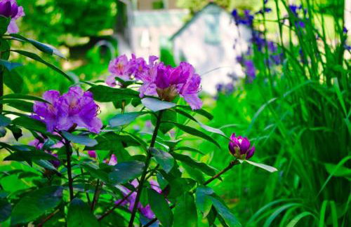 Casa "Dolina Kraljevac" - Foto 60