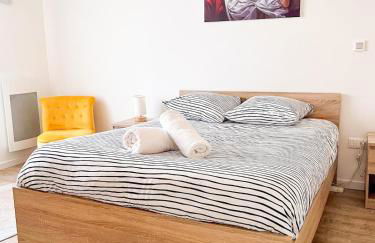 Chouette appartement près de l'Arena et de la Gare Centre de Reims - Foto 4