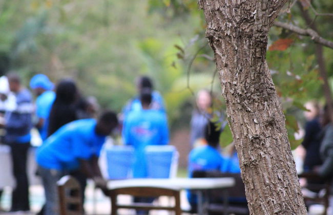 Eden Estates & Boutique Lodge - Foto 45