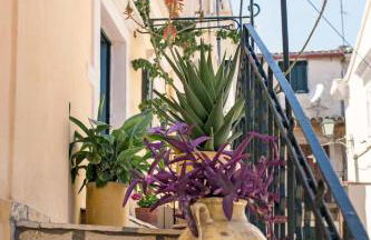 Victor's Traditional House - Foto 27