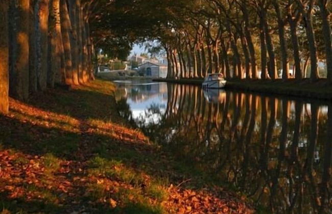 The Apartments Rue Barbès - Foto 3