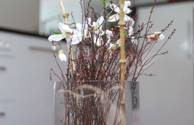 Ferienwohnungen Ries - Foto 5