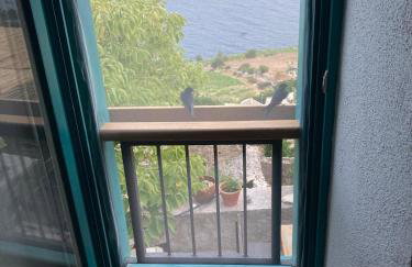 Blue Dream - Foto 67