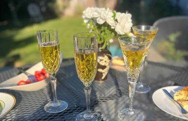 10 mins to SJC Fastest 2 Gigabit WiFI Open Floor BBQ Grill Fireplace Fenced Yard Pet Friendly - Foto 14