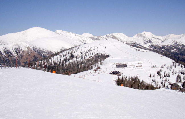 Cozy Apartment in Feld am See Near Ski Slopes - Foto 68