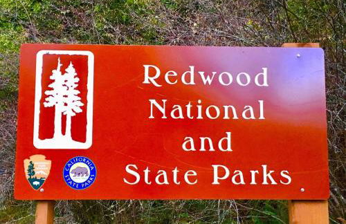 Beautiful Ocean View Cabin and Hot Tub! - Foto 31