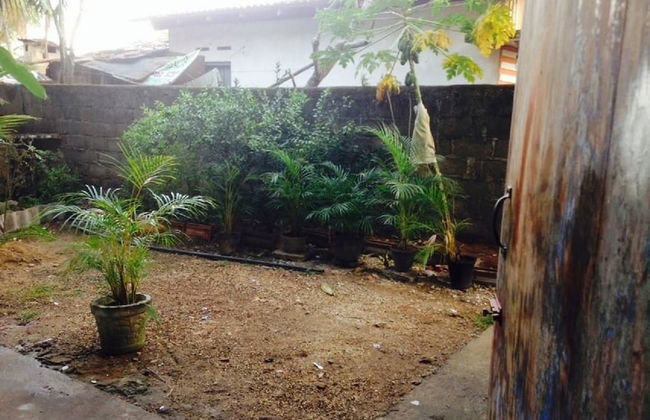 Villahredpalm - Foto 18