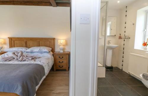 Glan Felin - Foto 20