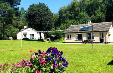 Corralea Cottages - Foto 14