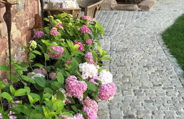 Domaine LaPromise - Photo 50