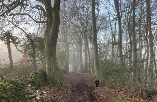 Cupcake Cottage: Quintessential Cotswold Cottage - Foto 27