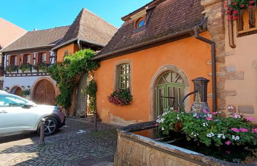 Le Nid Douillet de Bergheim - Foto 15