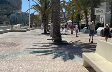 Esmeralda Minerva Primera Línea Fossa- Levante Beach - Photo 23