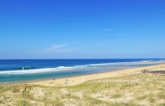 Le Moïsan - Foto 24