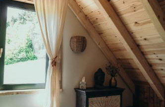 Mech i brzoza - Foto 29