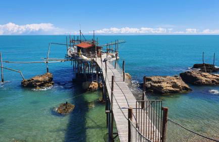 L'uliveto sui Trabocchi - Foto 24