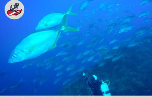 São Jorge Holiday Homes - Photo 28