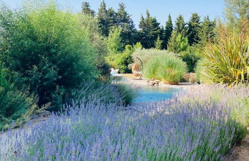 Le Nid de la Huppe - Foto 19