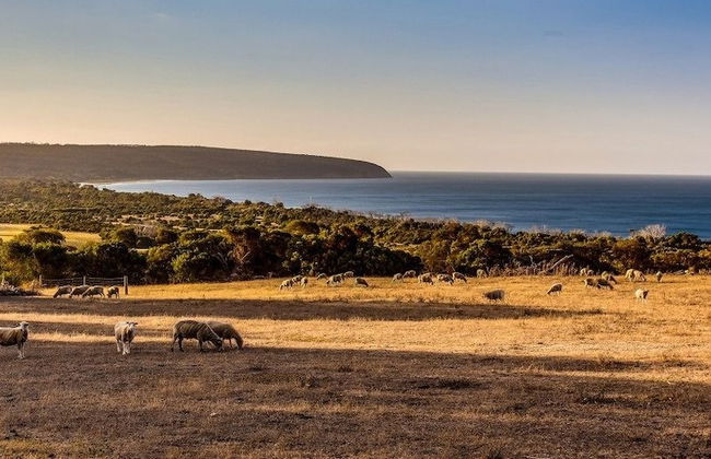 Antechamber Bay Retreats - Foto 52