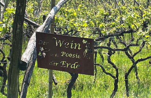 Apartments Johanna - Photo 43