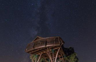 Herdade dos Grous - Foto 8