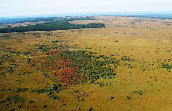 Nice Holiday Farmhouse Located in Sourbrodt near Ski Resort of Ovifat - Foto 39