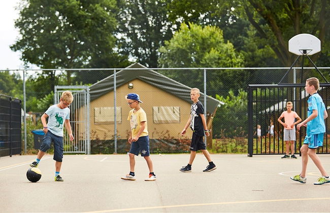 Beautiful Farm Villa With Large Garden in Limburg - Photo 10