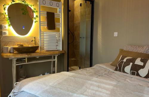 LE COTTAGE, T2, Hyper center, Terrasse - Foto 3